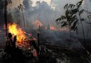 Fransa Başkanı Macron: Amazon Ormanlarında Gerçek Bir Ekolojik Yıkım Yaşanıyor